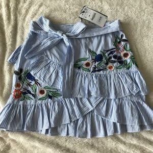 Zara Striped Embroidered Skirt
